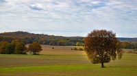 Paysage 6